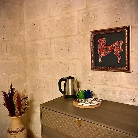 Sen 酒店 内夫谢希尔